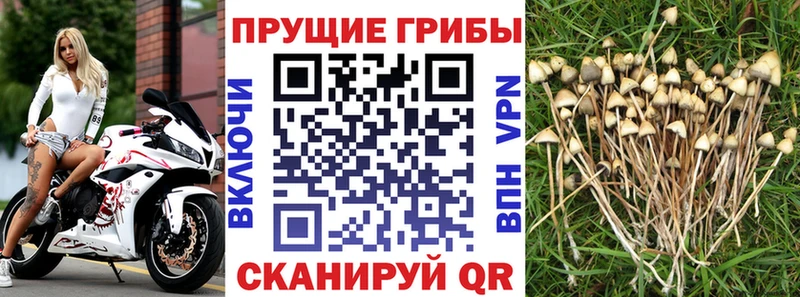 Псилоцибиновые грибы ЛСД закладки Куйбышев